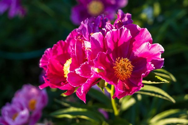 Discover Eco-Friendly Tire Solutions for Electric Vehicles in the UK