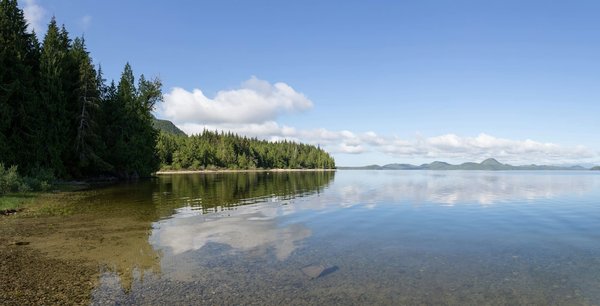 What are the top-ranked electric vans for commercial use in the UK in 2023?