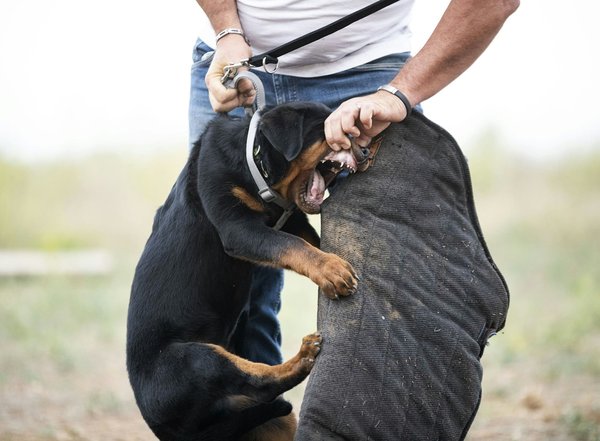 What are the safety implications of modifying the suspension system on a UK-road licensed car?